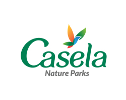 Group-1000008403 (1)